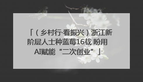 （乡村行·看振兴）浙江新阶层人士种蓝莓16载 盼用AI赋能“二次创业”
