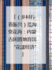 （乡村行·看振兴）荒沟变花海：内蒙古闲置地育出“花漾经济”