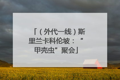 （外代一线）斯里兰卡科伦坡：“甲壳虫”聚会