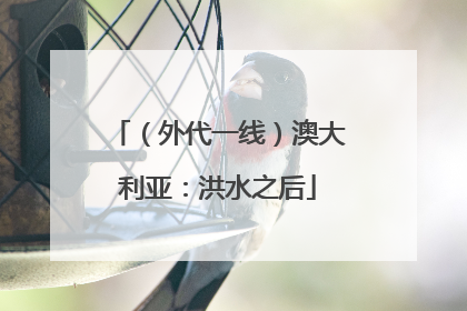 （外代一线）澳大利亚：洪水之后