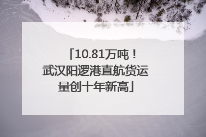 10.81万吨！武汉阳逻港直航货运量创十年新高