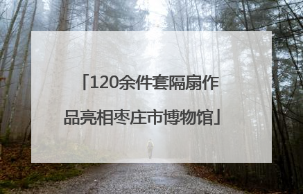 120余件套隔扇作品亮相枣庄市博物馆