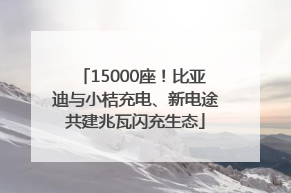 15000座！比亚迪与小桔充电、新电途共建兆瓦闪充生态
