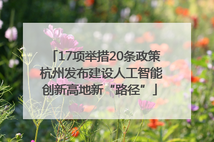 17项举措20条政策 杭州发布建设人工智能创新高地新“路径”