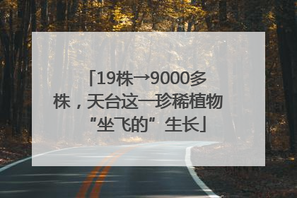 19株→9000多株，天台这一珍稀植物“坐飞的”生长