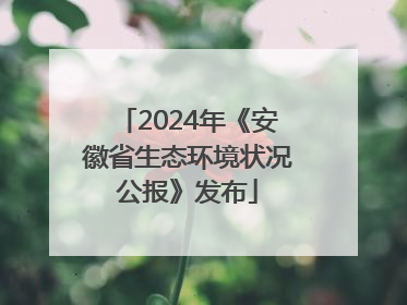 2024年《安徽省生态环境状况公报》发布