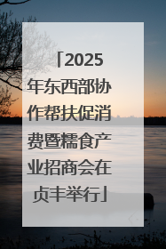 2025年东西部协作帮扶促消费暨糯食产业招商会在贞丰举行