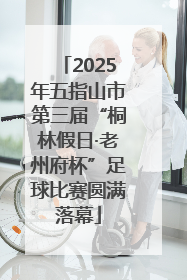2025年五指山市第三届“桐林假日·老州府杯”足球比赛圆满落幕