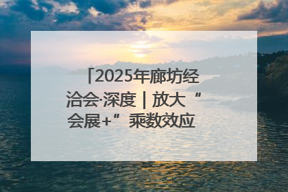 2025年廊坊经洽会·深度｜放大“会展+”乘数效应 打造消费新场景