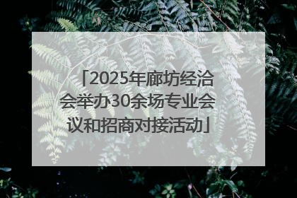 2025年廊坊经洽会举办30余场专业会议和招商对接活动