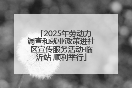 2025年劳动力调查和就业政策进社区宣传服务活动·临沂站 顺利举行
