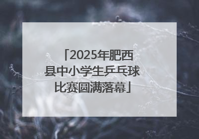 2025年肥西县中小学生乒乓球比赛圆满落幕