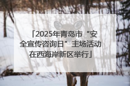 2025年青岛市“安全宣传咨询日”主场活动在西海岸新区举行