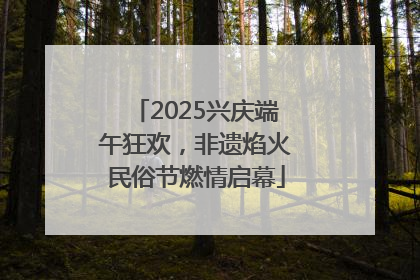 2025兴庆端午狂欢，非遗焰火民俗节燃情启幕