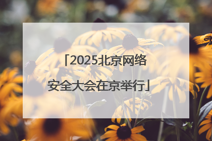 2025北京网络安全大会在京举行