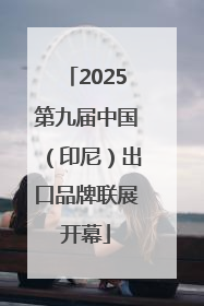 2025第九届中国（印尼）出口品牌联展开幕