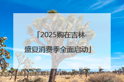 2025购在吉林·盛夏消费季全面启动