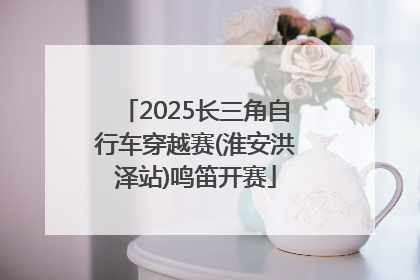 2025长三角自行车穿越赛(淮安洪泽站)鸣笛开赛