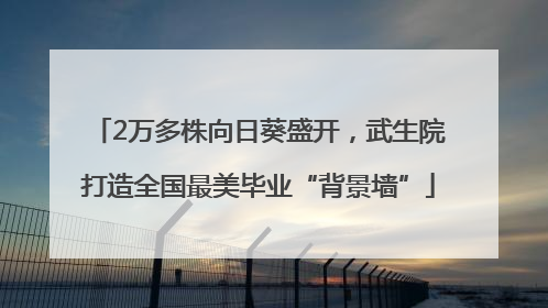 2万多株向日葵盛开，武生院打造全国最美毕业“背景墙”