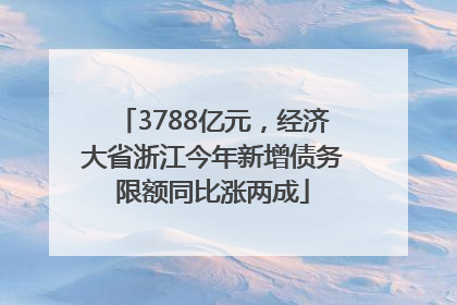 3788亿元，经济大省浙江今年新增债务限额同比涨两成