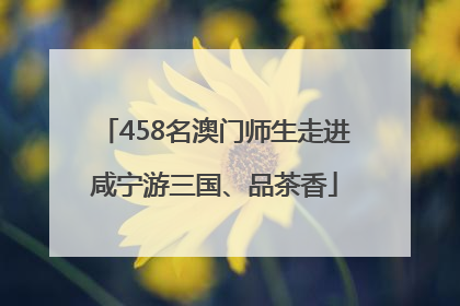 458名澳门师生走进咸宁游三国、品茶香