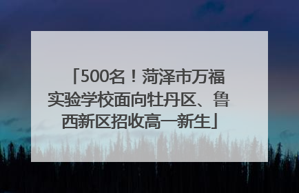 500名！菏泽市万福实验学校面向牡丹区、鲁西新区招收高一新生