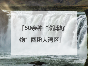 50余种“淄博好物”圈粉大湾区