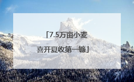 7.5万亩小麦喜开夏收第一镰