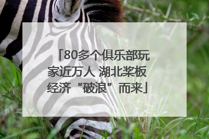80多个俱乐部玩家近万人 湖北桨板经济“破浪”而来