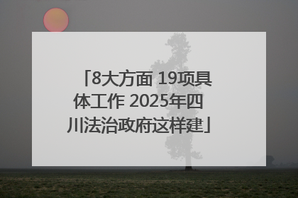 8大方面 19项具体工作 2025年四川法治政府这样建