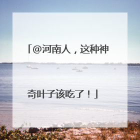 @河南人，这种神奇叶子该吃了！