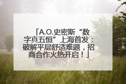A.O.史密斯“数字真五恒”上海首发：破解平层舒适难题，招商合作火热开启！