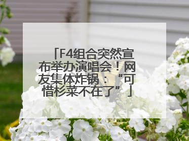 F4组合突然宣布举办演唱会！网友集体炸锅：“可惜杉菜不在了”